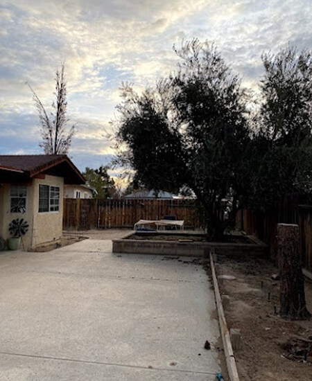 Tree Removal Castaic