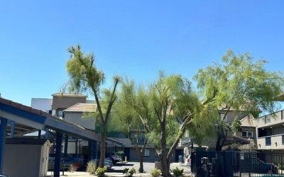 Commercial Arborist Consultation in Golden Hills, CA | Tree Risk Assessment Experts