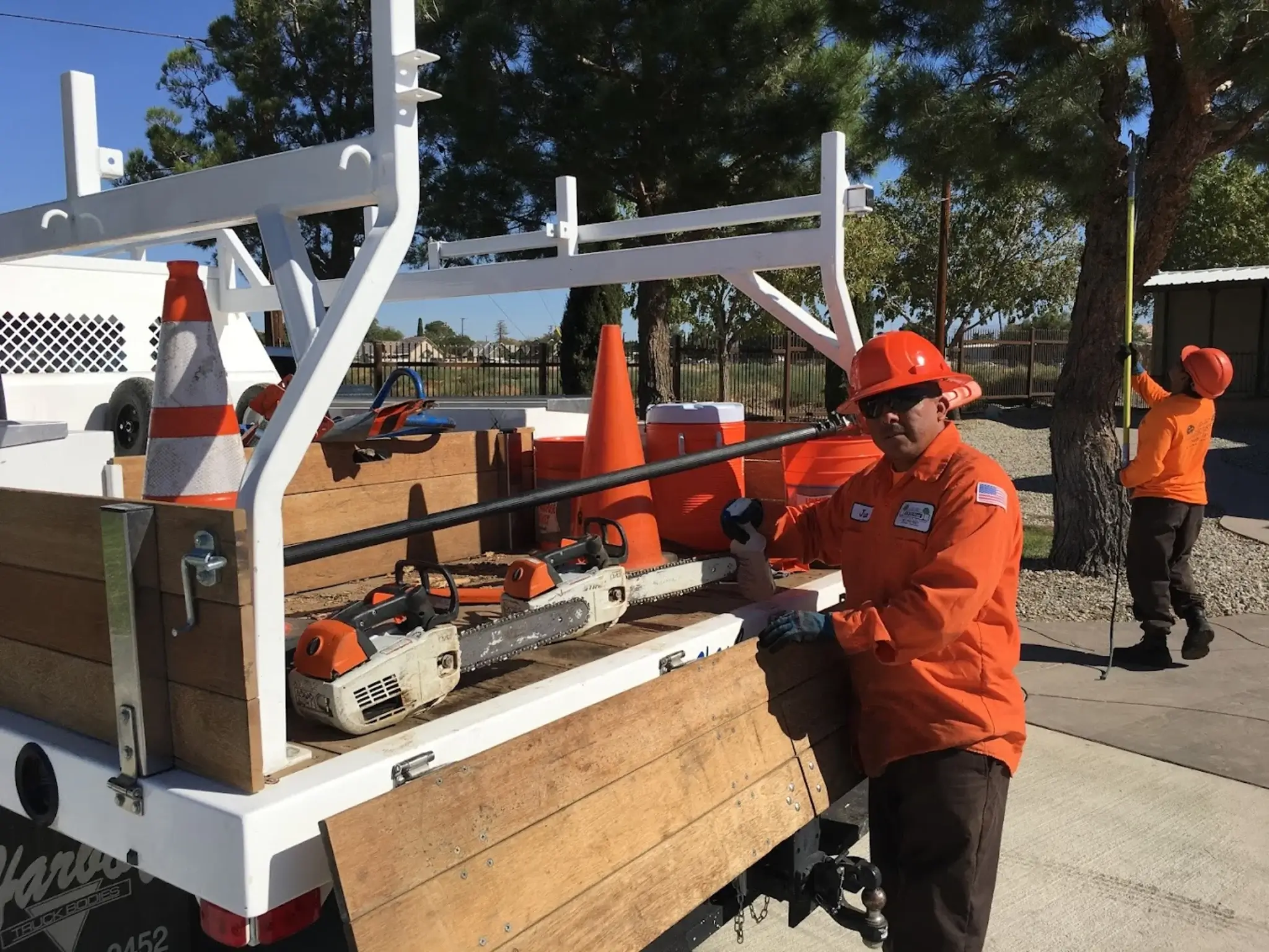 An arborist consult in Acton, CA