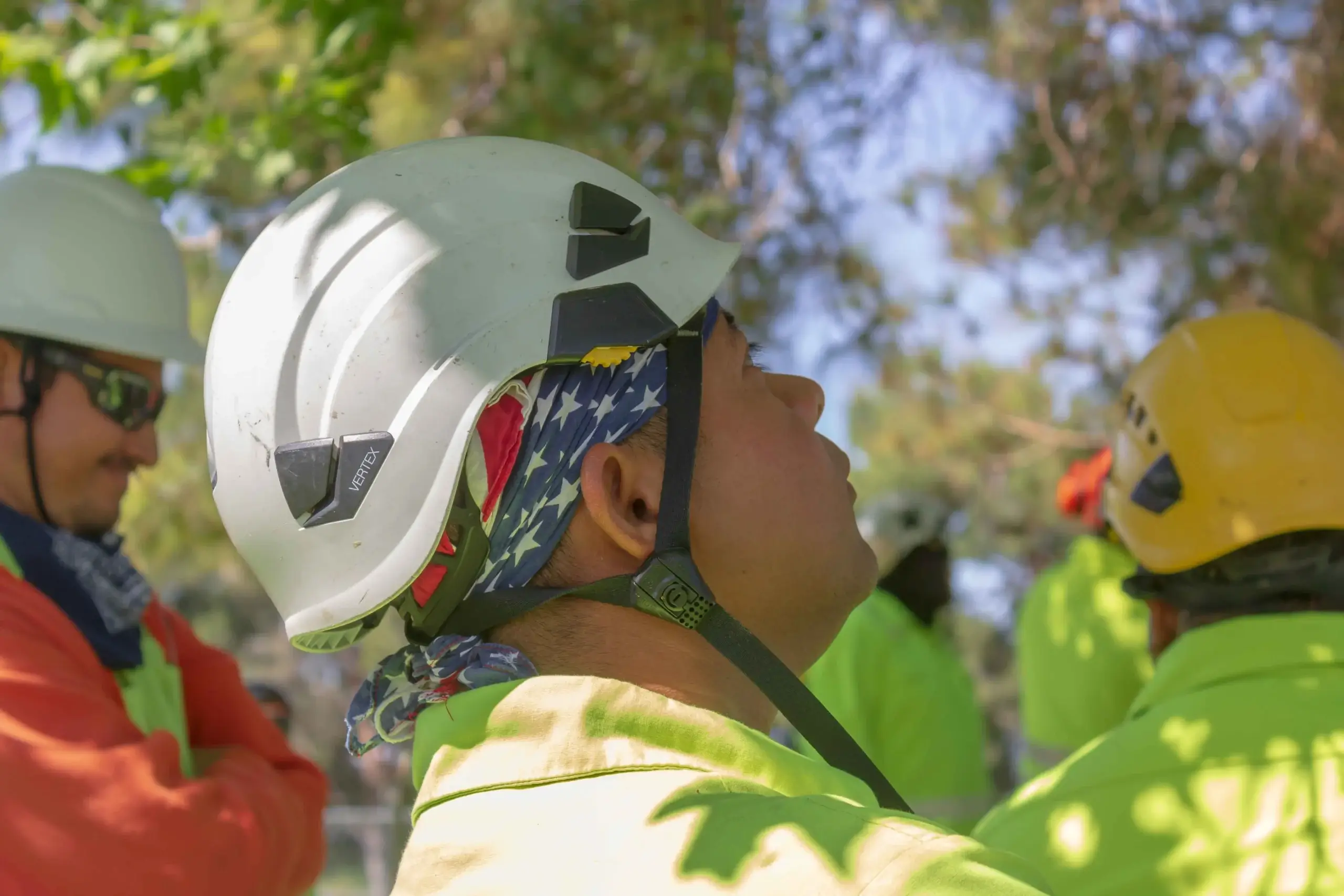An arborist consultation in Canyon Country, CA