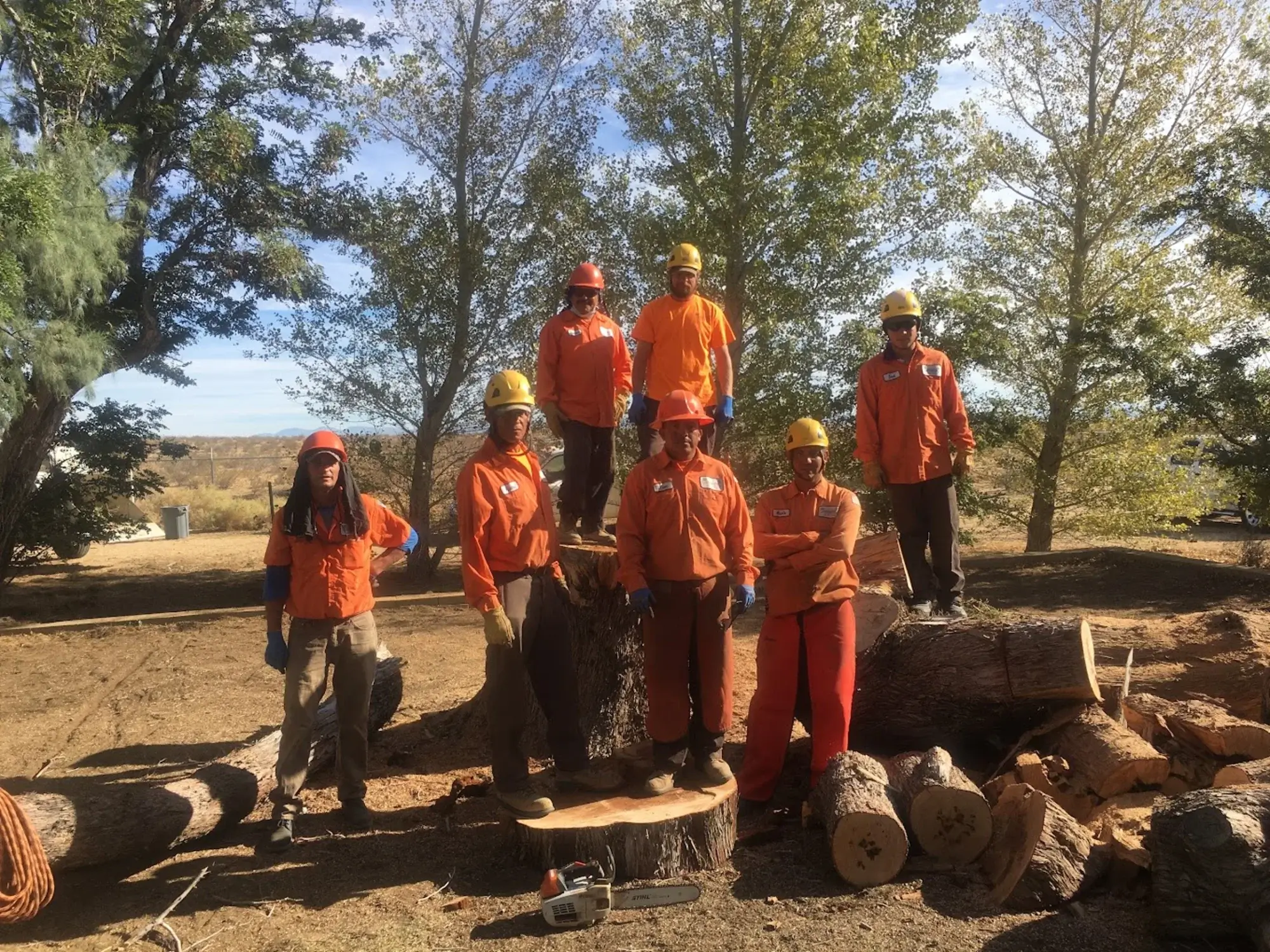 arborist-consult-rosamond-ca An arborist consult in Rosamond, CA
