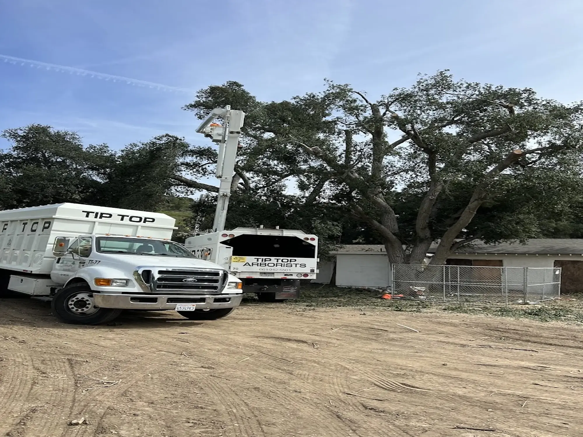 An arborist consult in Stallion Springs, CA