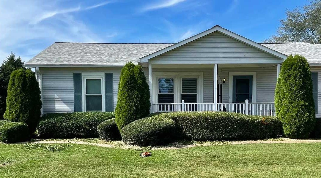 Do Trees Add Value to Your Property?