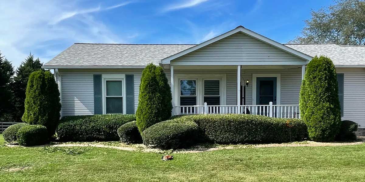 do trees add value to your property​