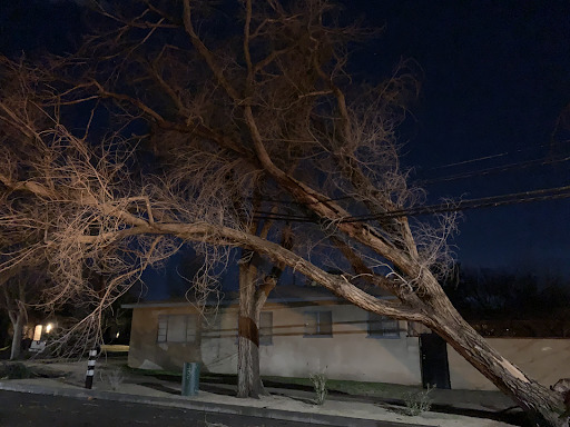 emergency tree removal bear valeey