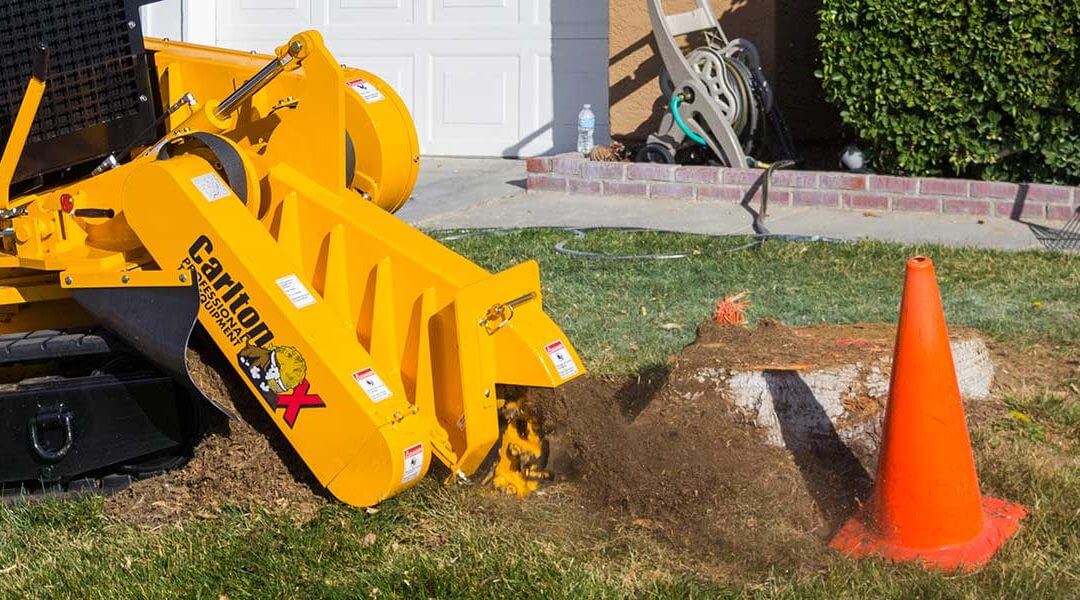 The Process of Professional Stump Grinding Explained