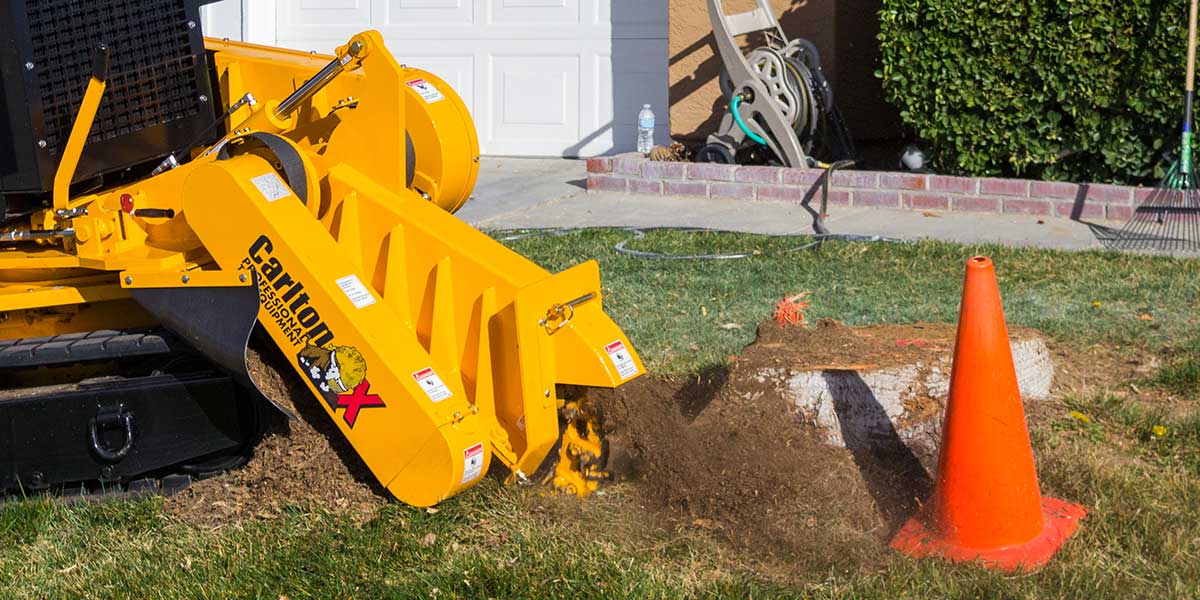how to grind a tree stump