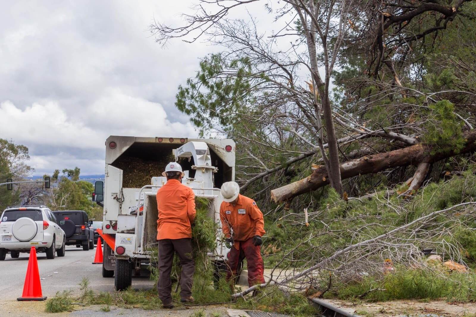 how tree trimming and removal transformed this home in val verde ca