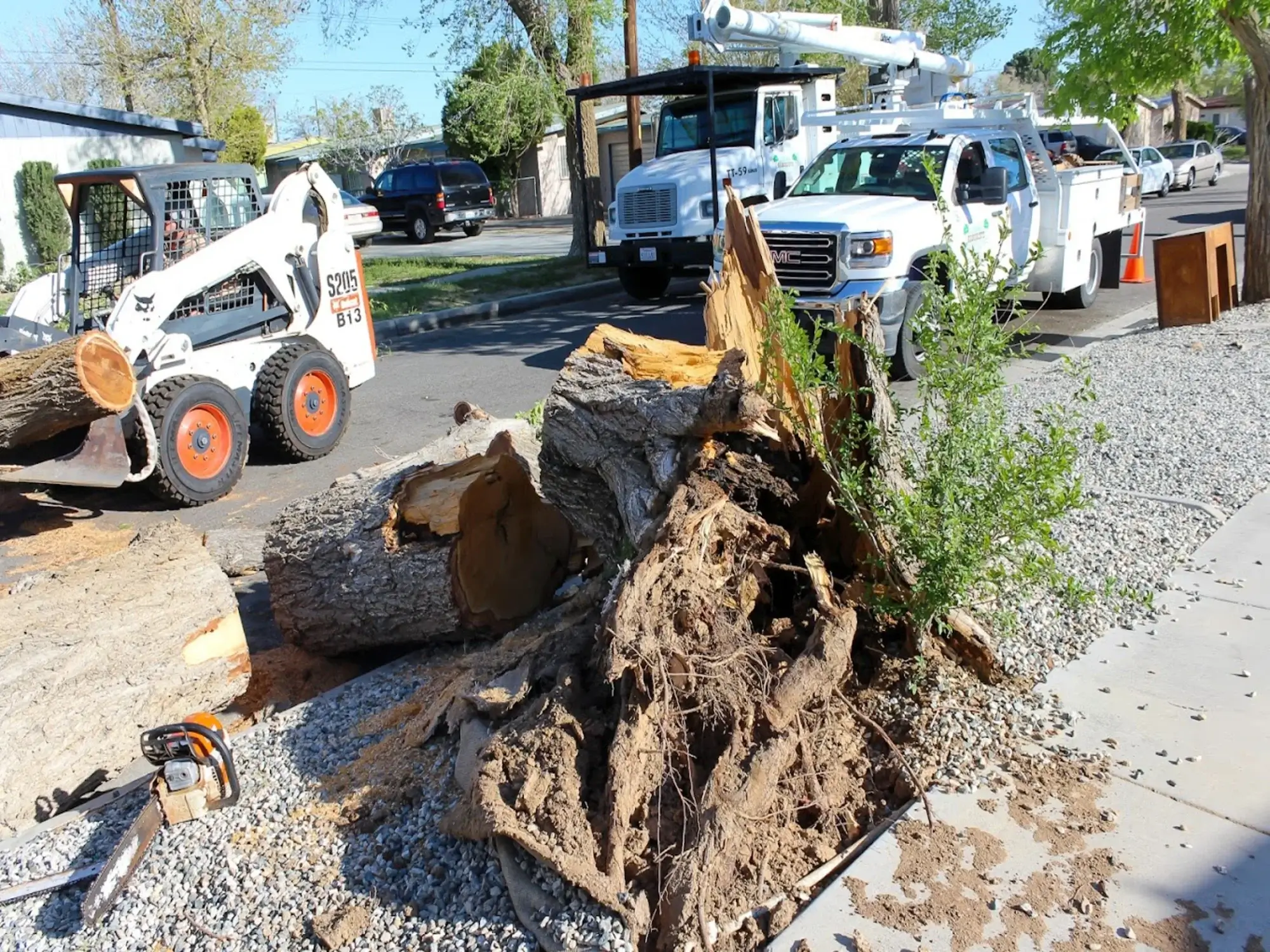 A stump grinding in Apple Valley, CA