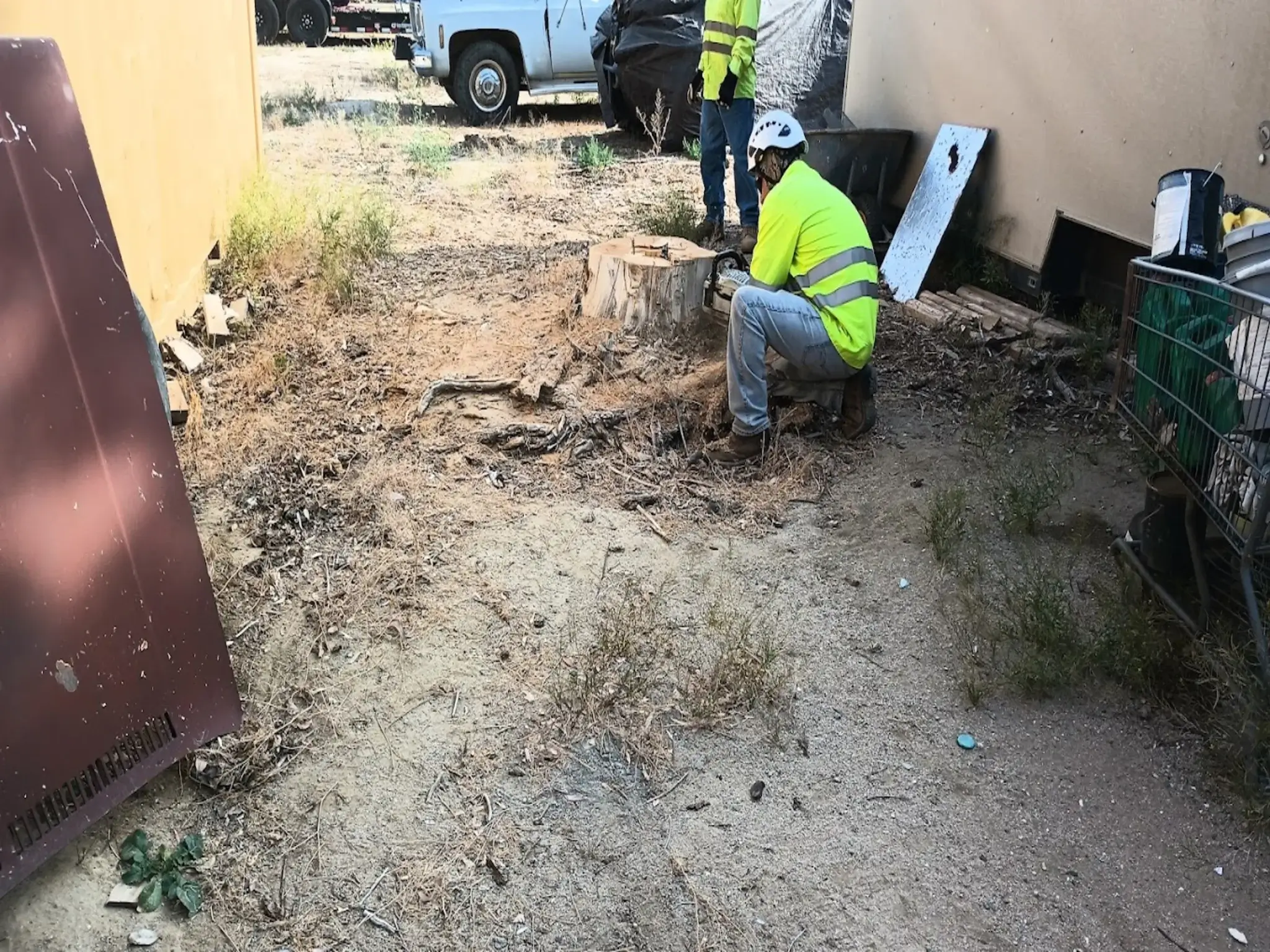 A stump grinding in Golden Hills, CA