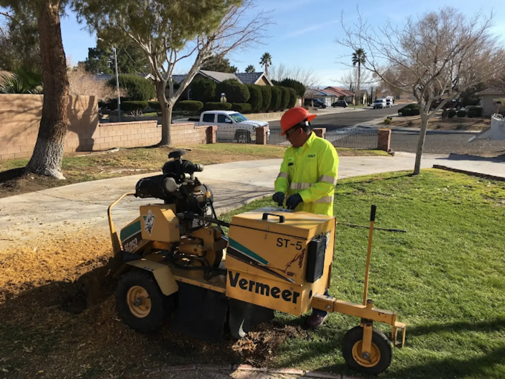 A stump grinding in Quartz Hill, CA