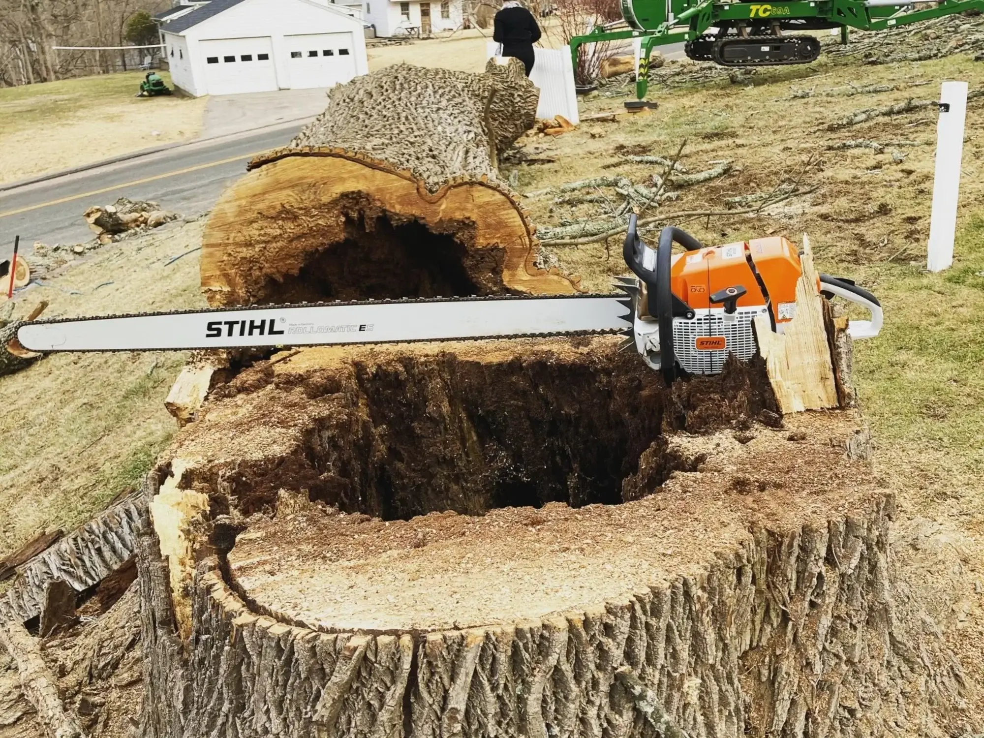 stump-grinding-rosamond-ca (2) A stump grinding in Rosamond, CA