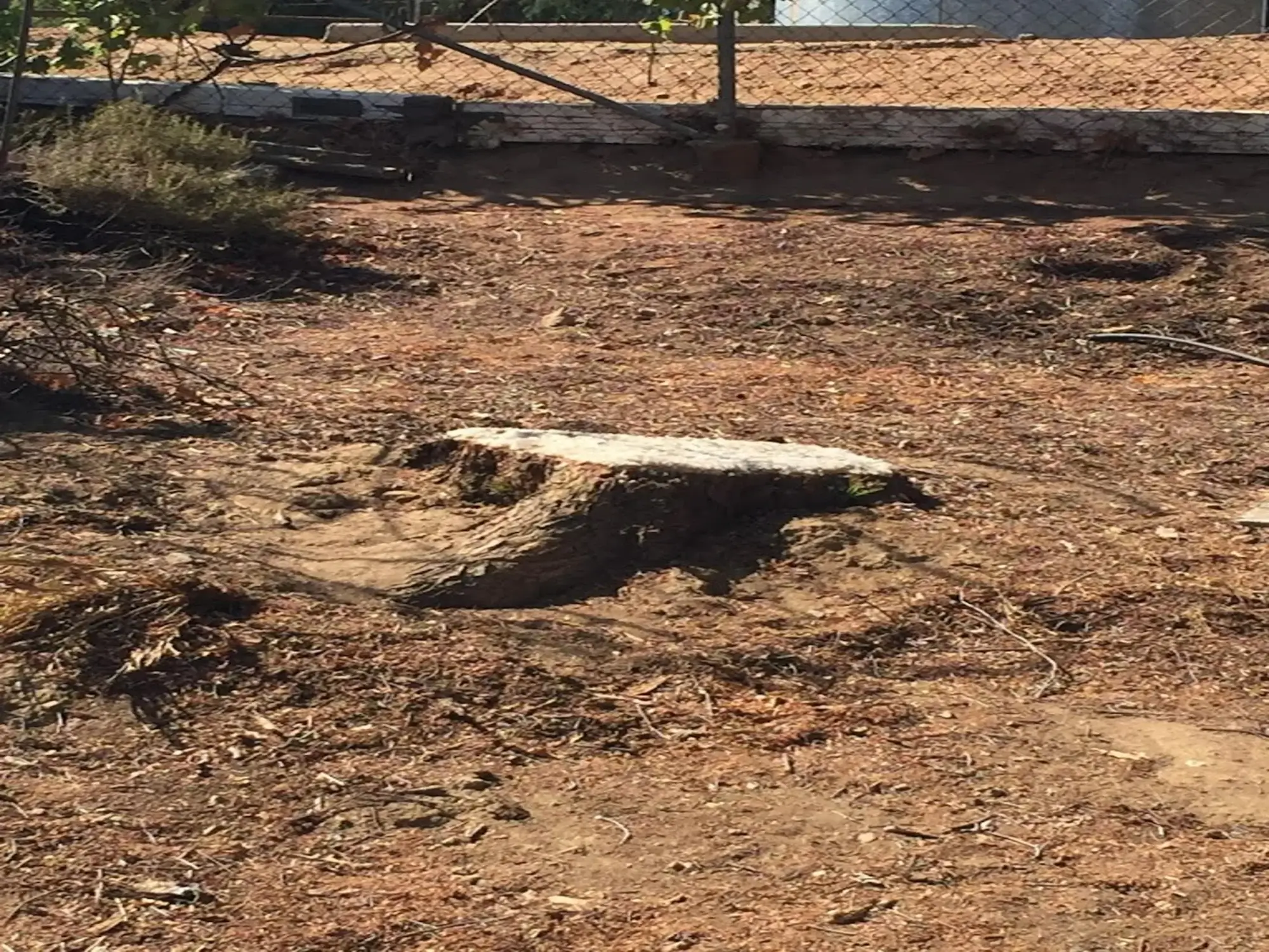 stump-grinding-service-4 A stump before grinding