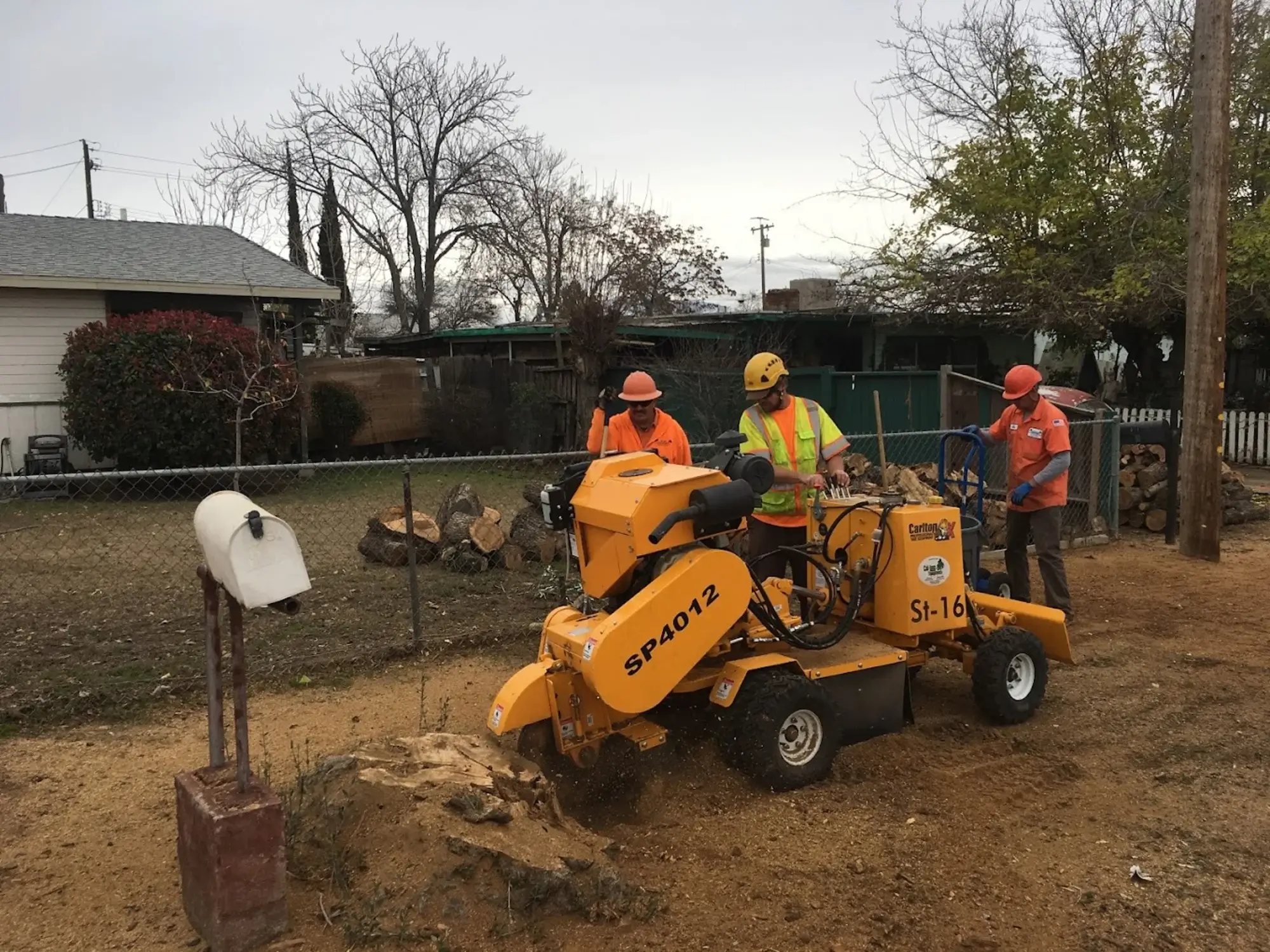 A stump grinding in Spring Valley Lake, CA