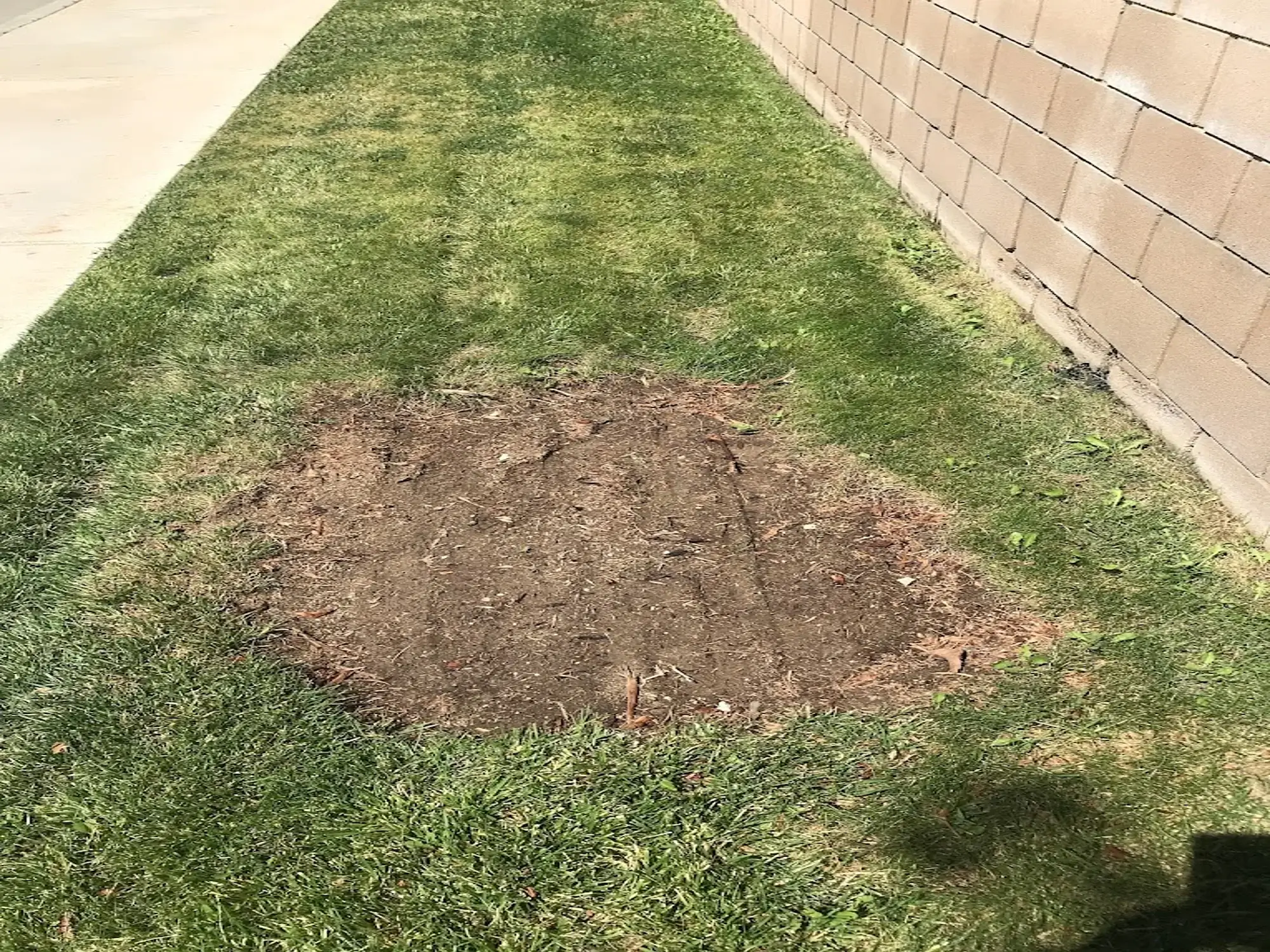 A stump grinding in Stallion Springs, CA