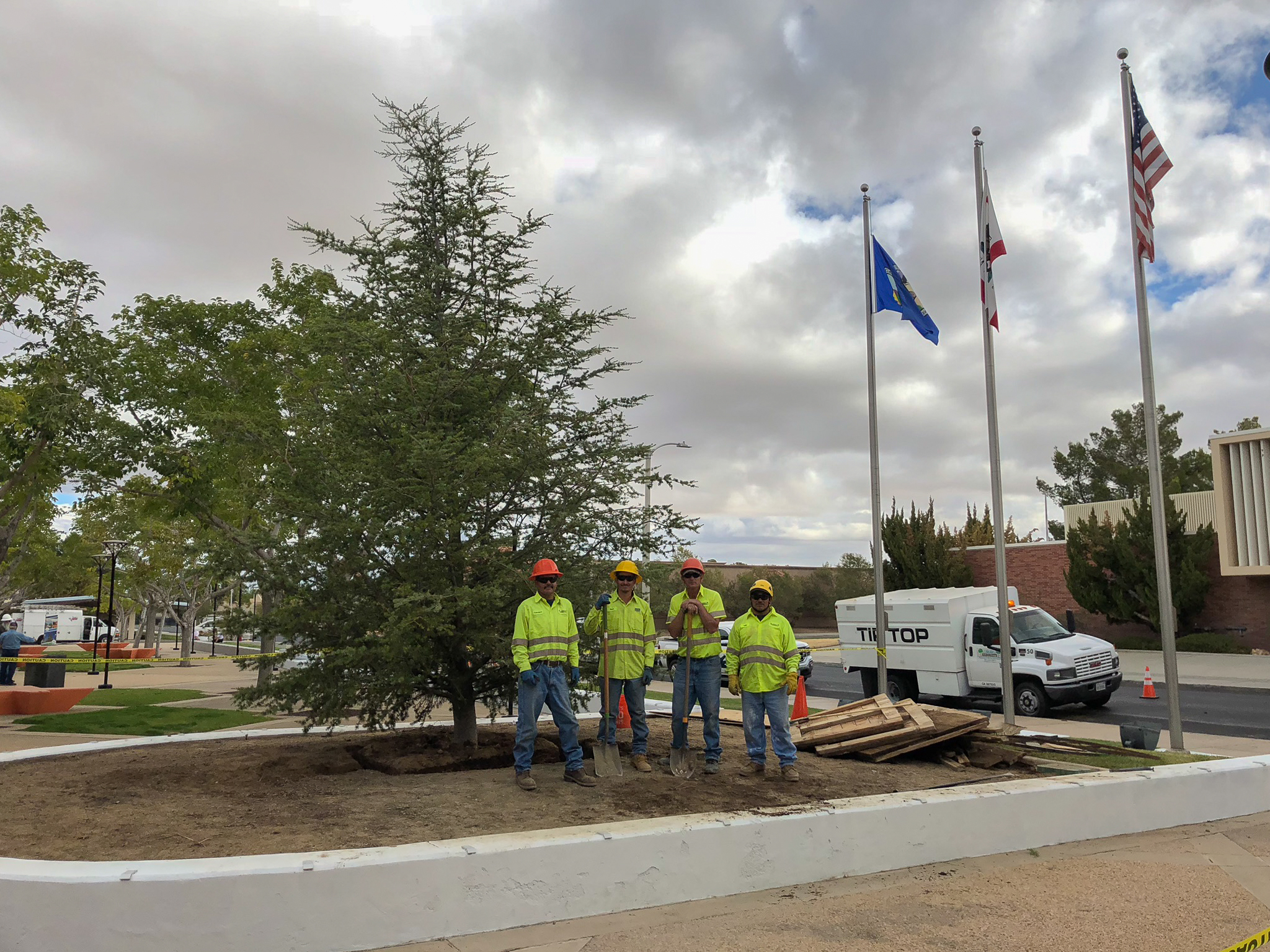 Crew members after a tree planting