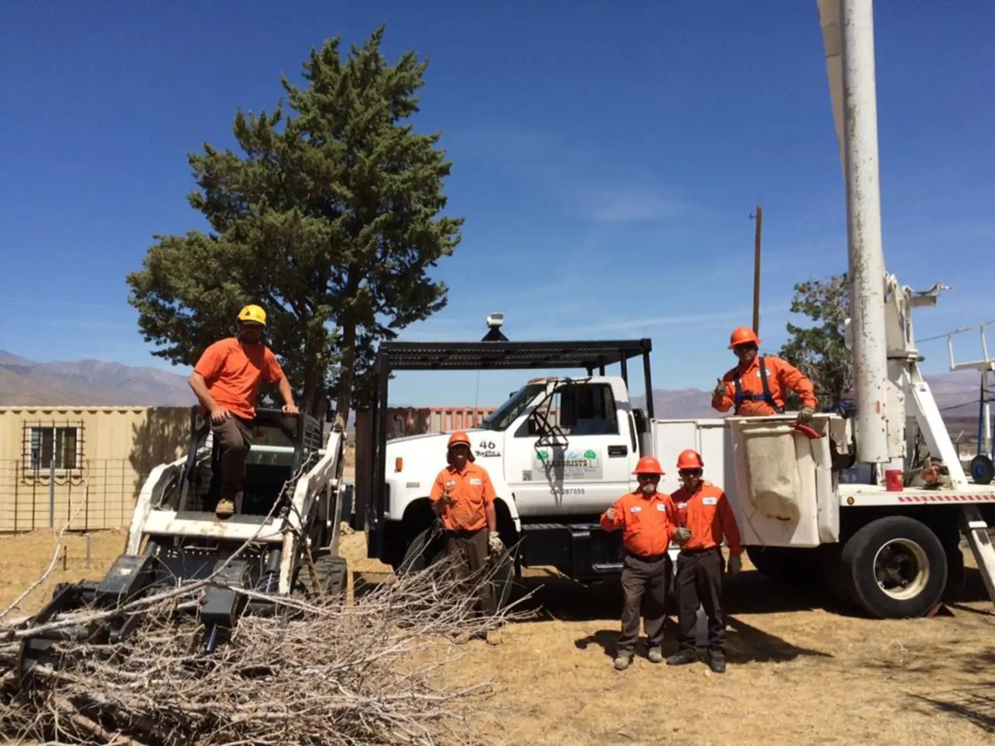 A tree planting in Apple Valley, CA