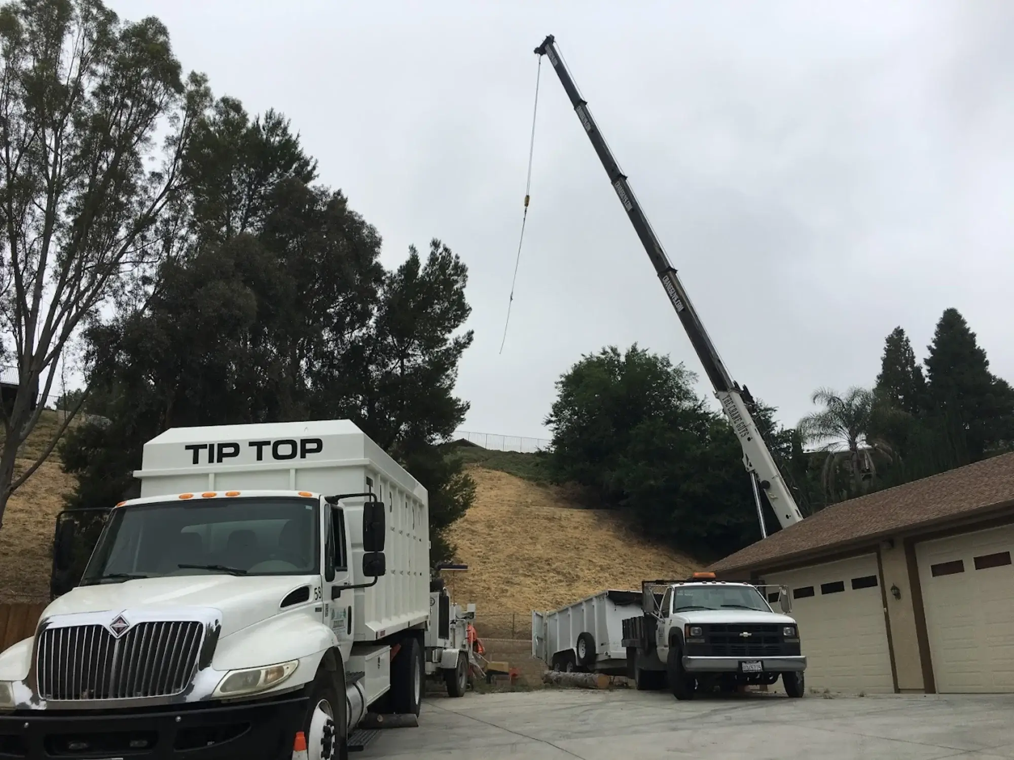 A tree planting in Hesperia, CA