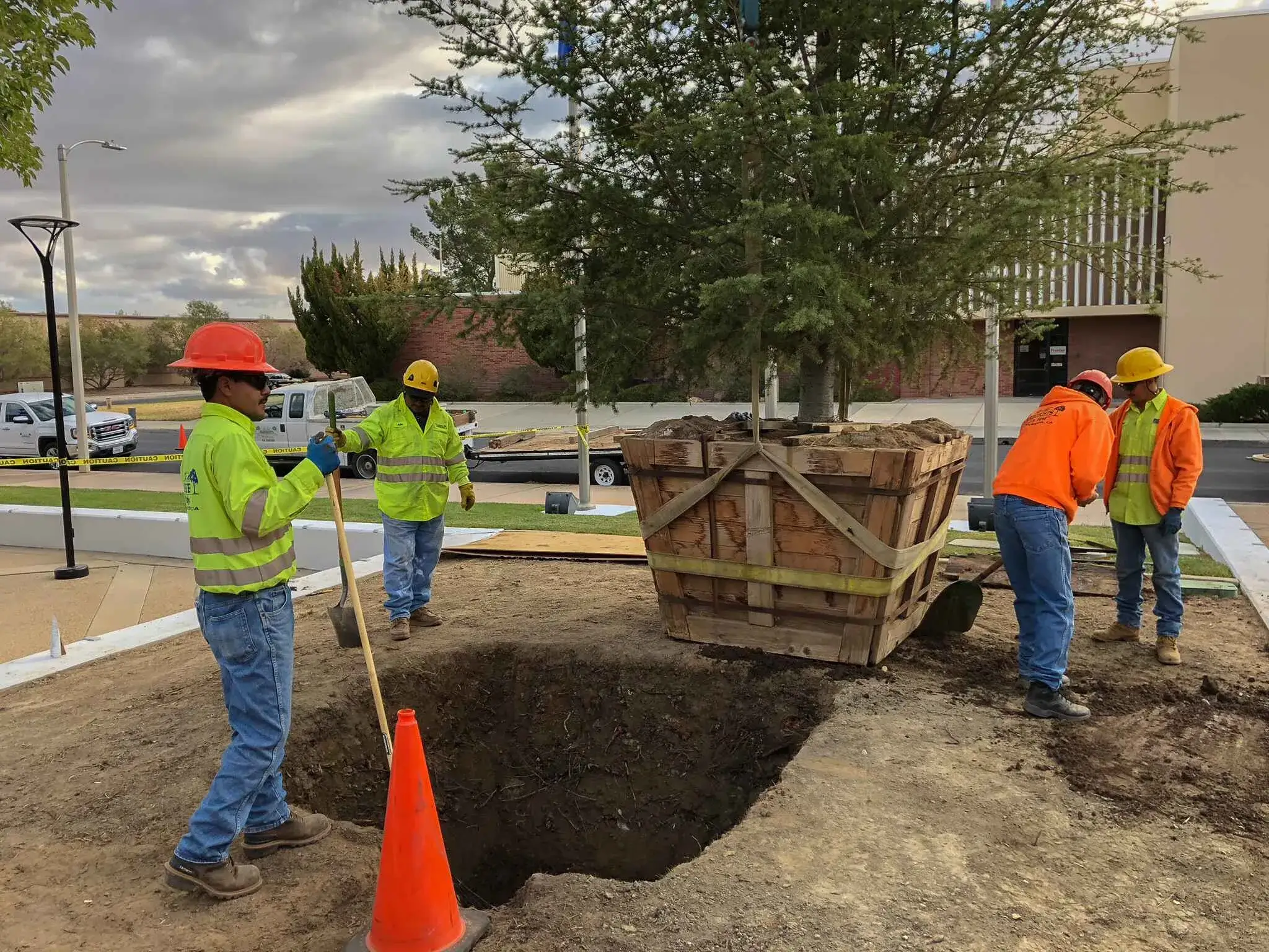 Team members during a tree planting