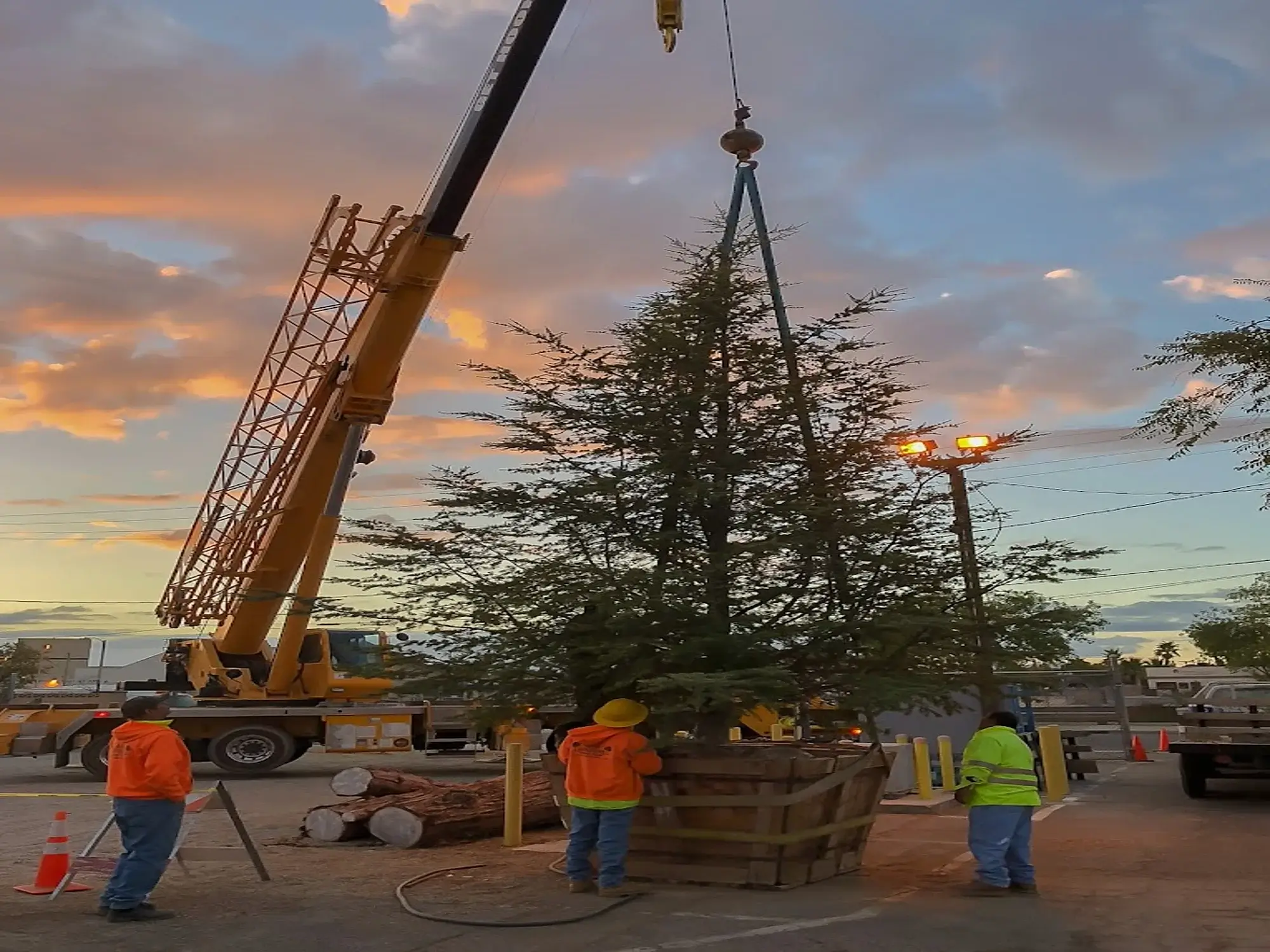 A tree planting in Stallion Springs, CA