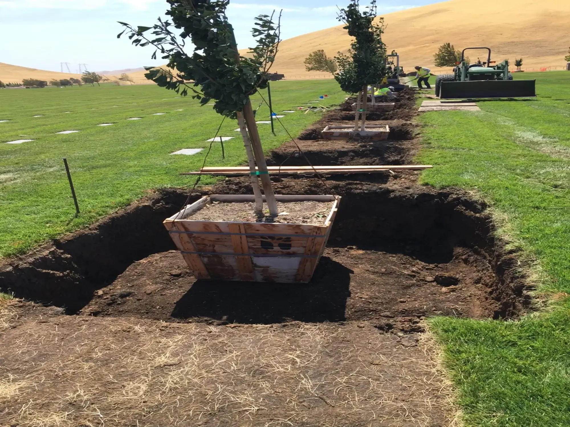 A tree planting in Tehachapi, CA