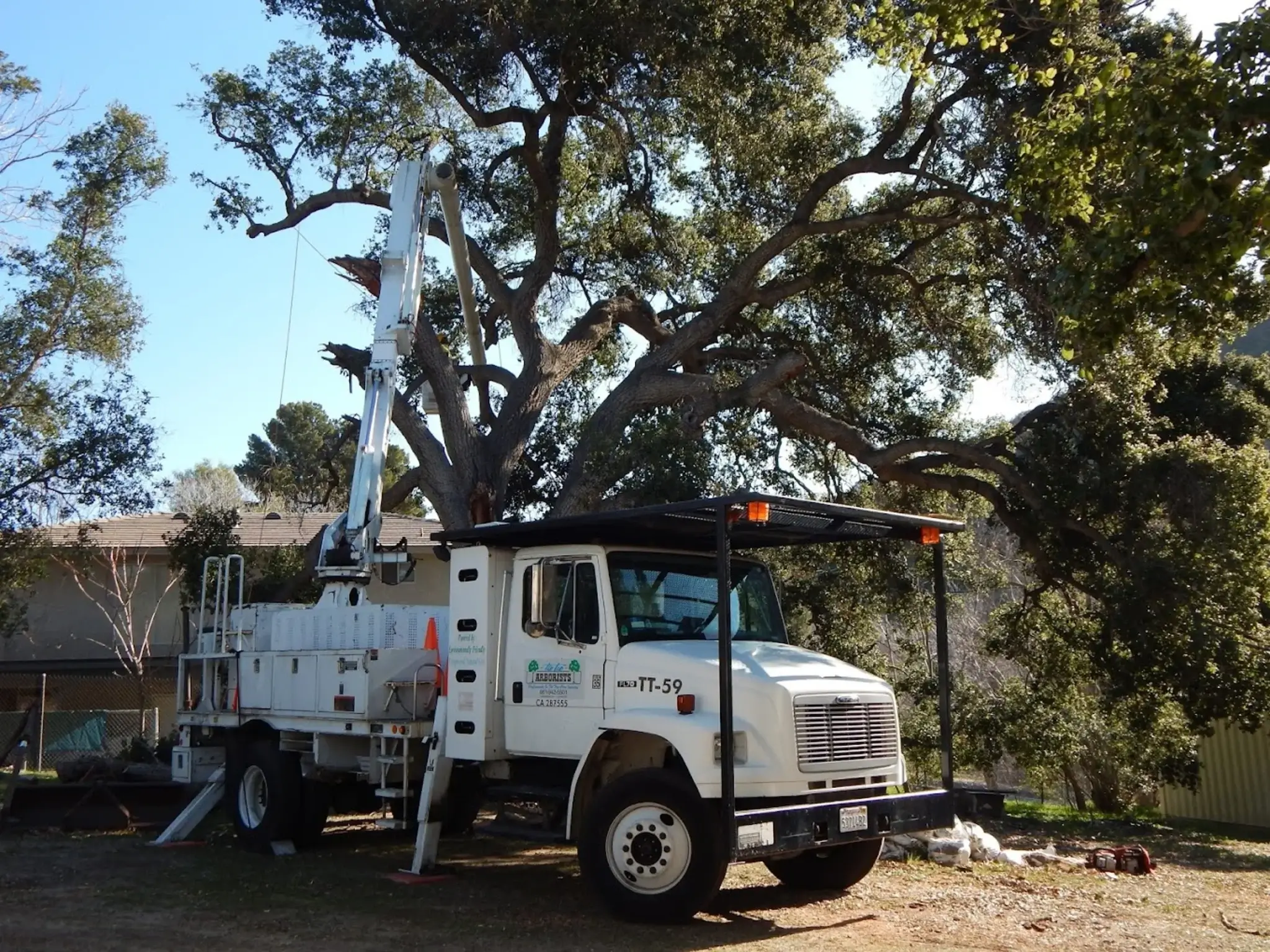 A tree pruning in Acton, CA