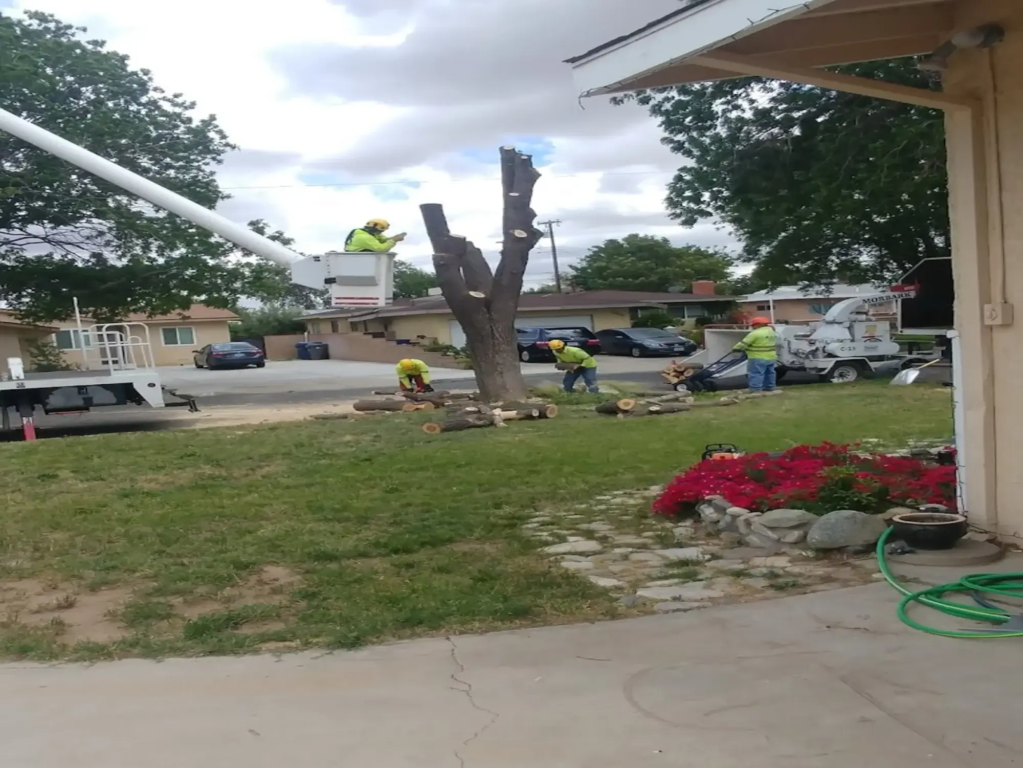 tree-removal-palmdale-ca A tree removal in Palmdale, CA