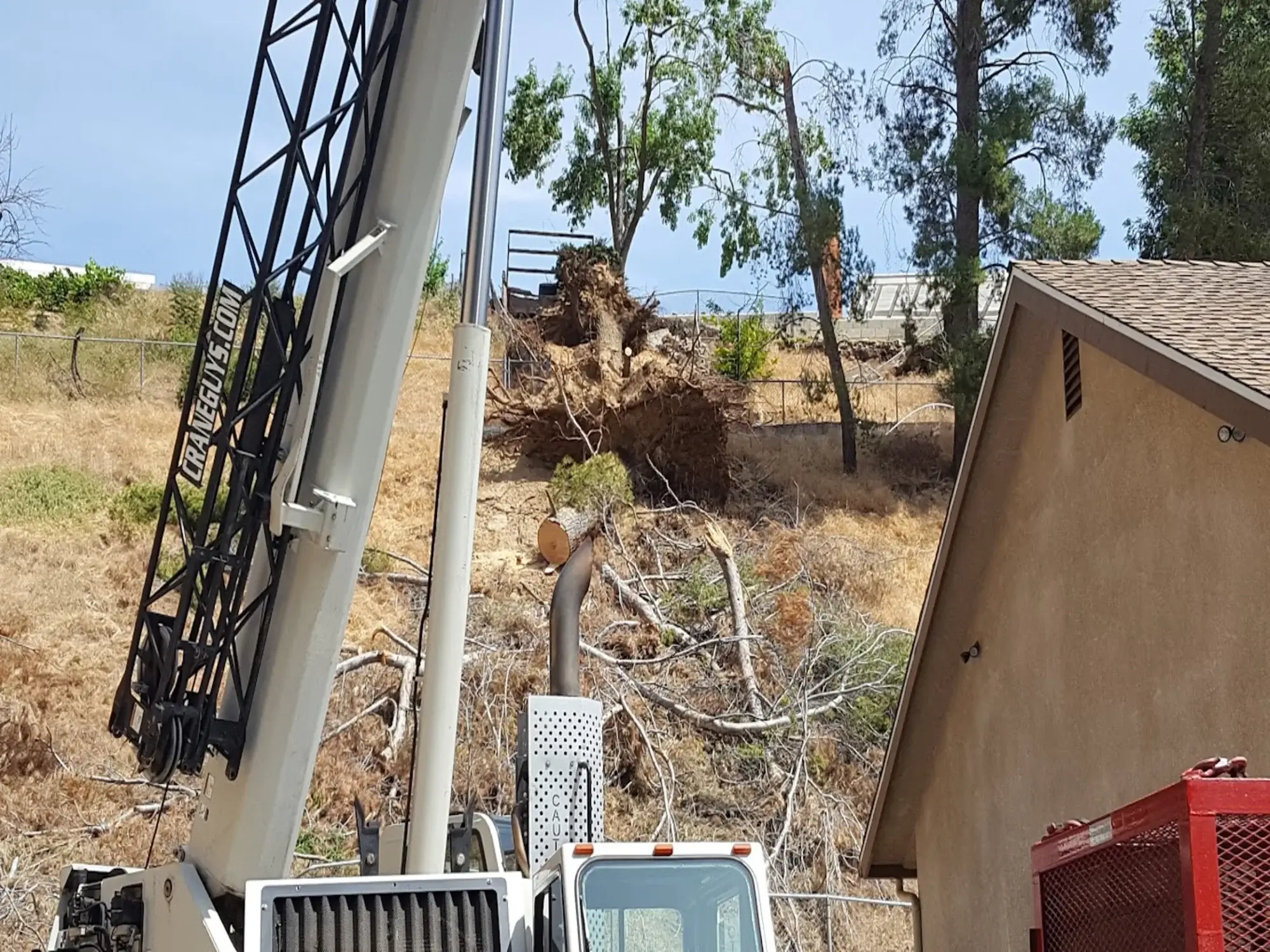 A house during a tree removal