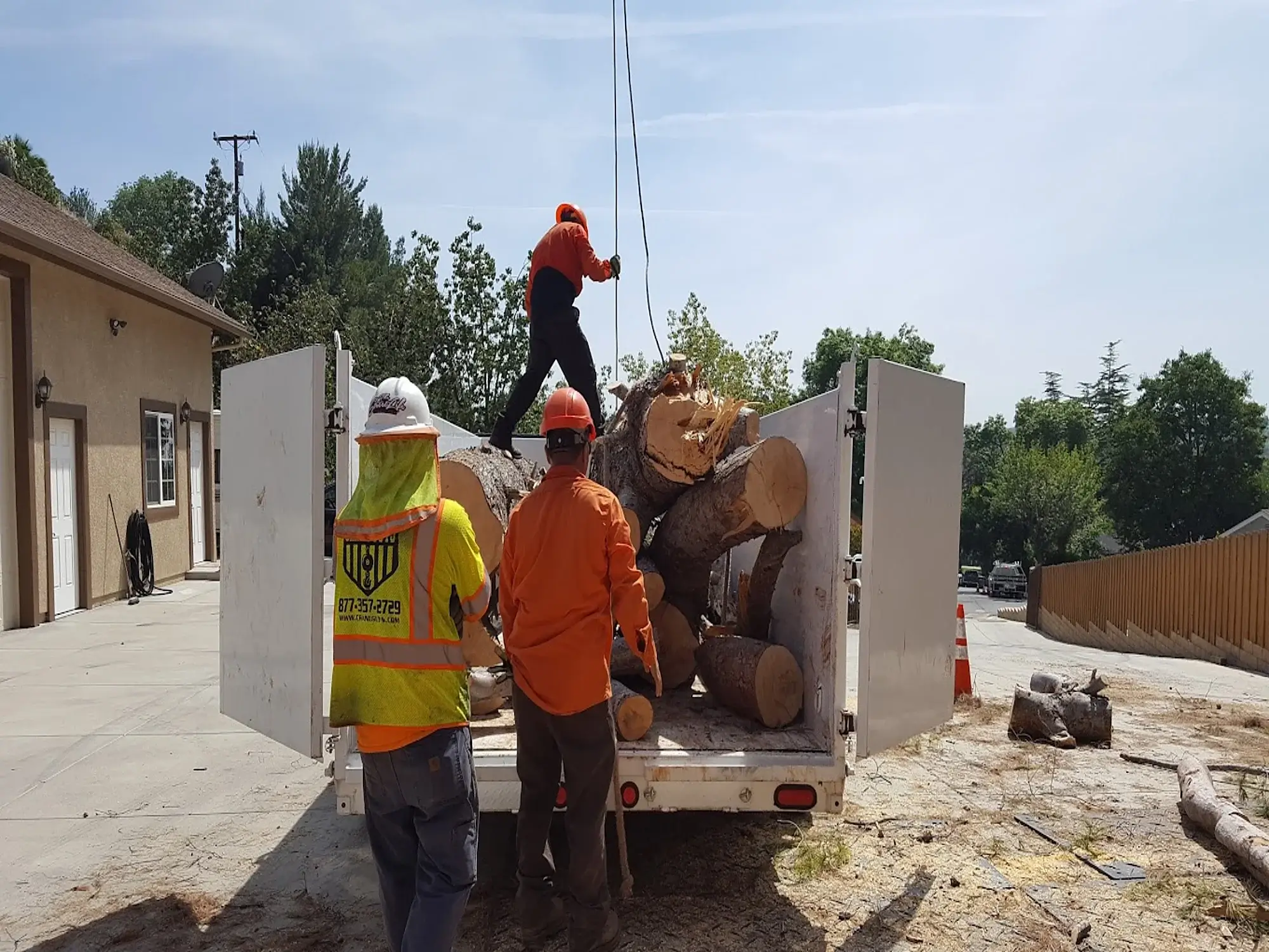 A tree removal in Stallion Springs, CA