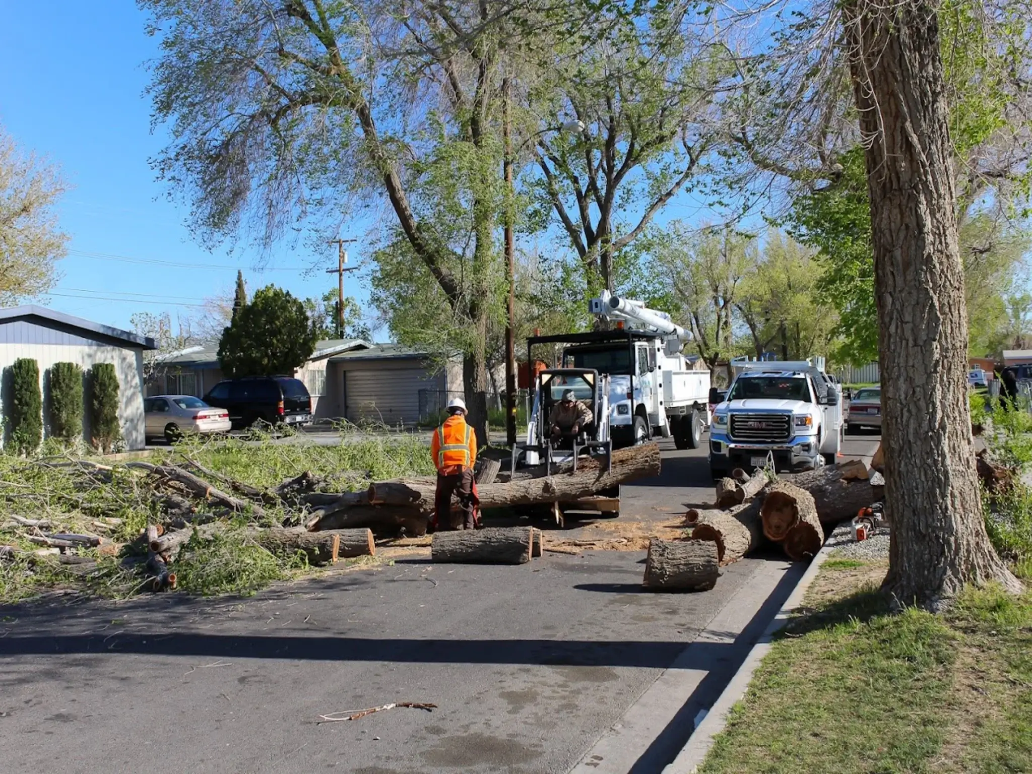 The team completing tree service in Acton, CA