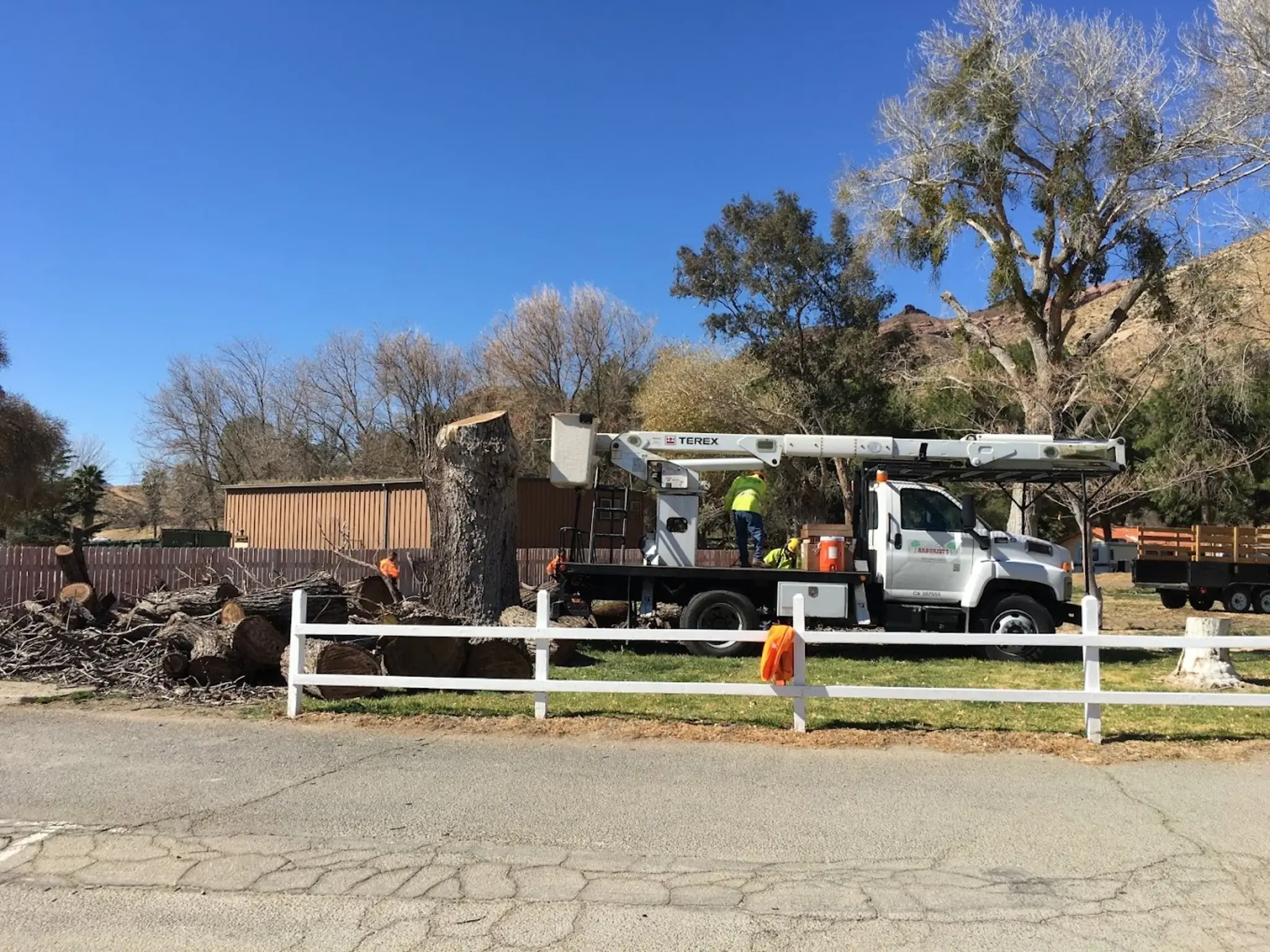 The team completing tree service in Golden Hills, CA