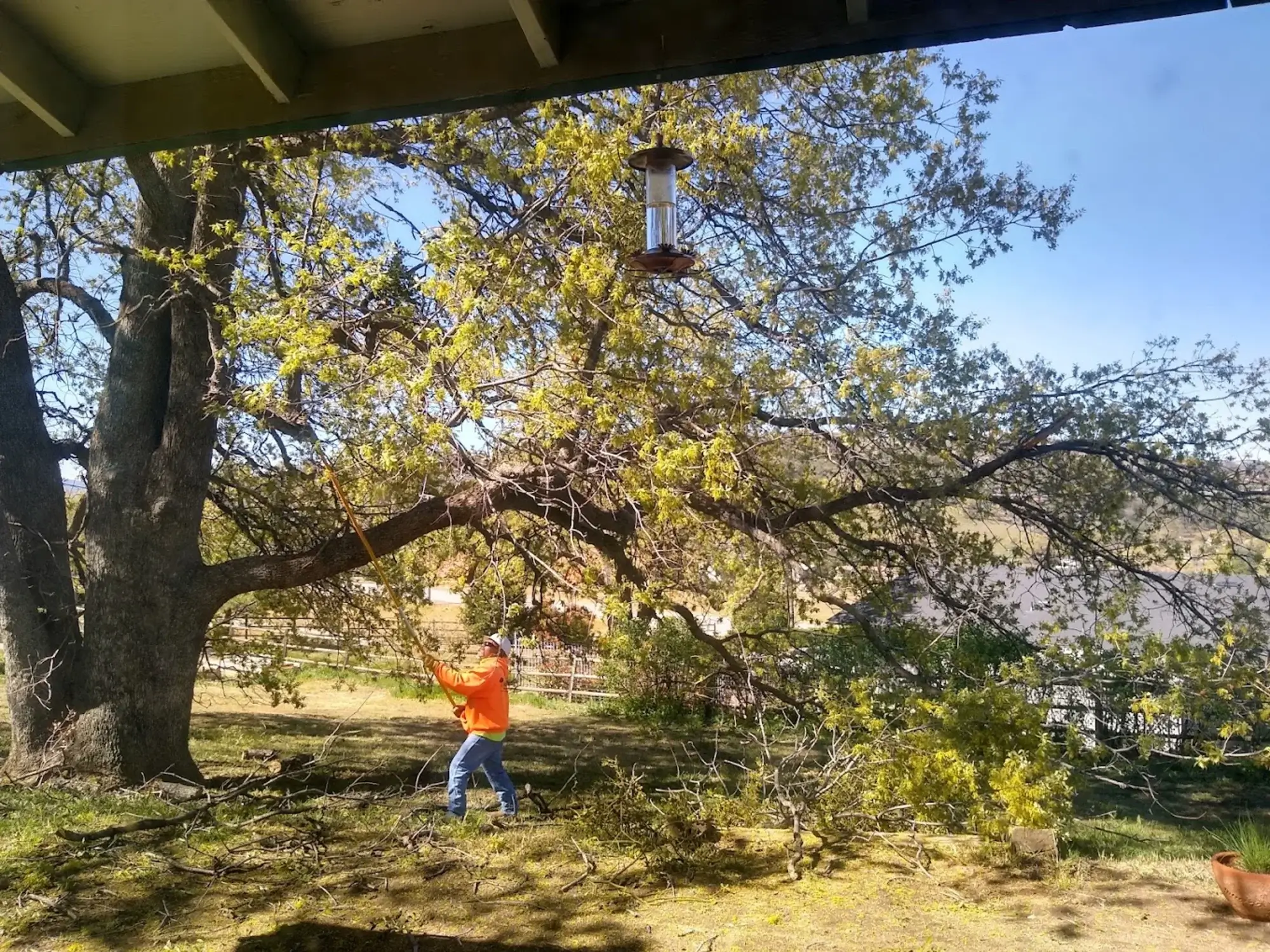 The team completing tree service in Hesperia, CA