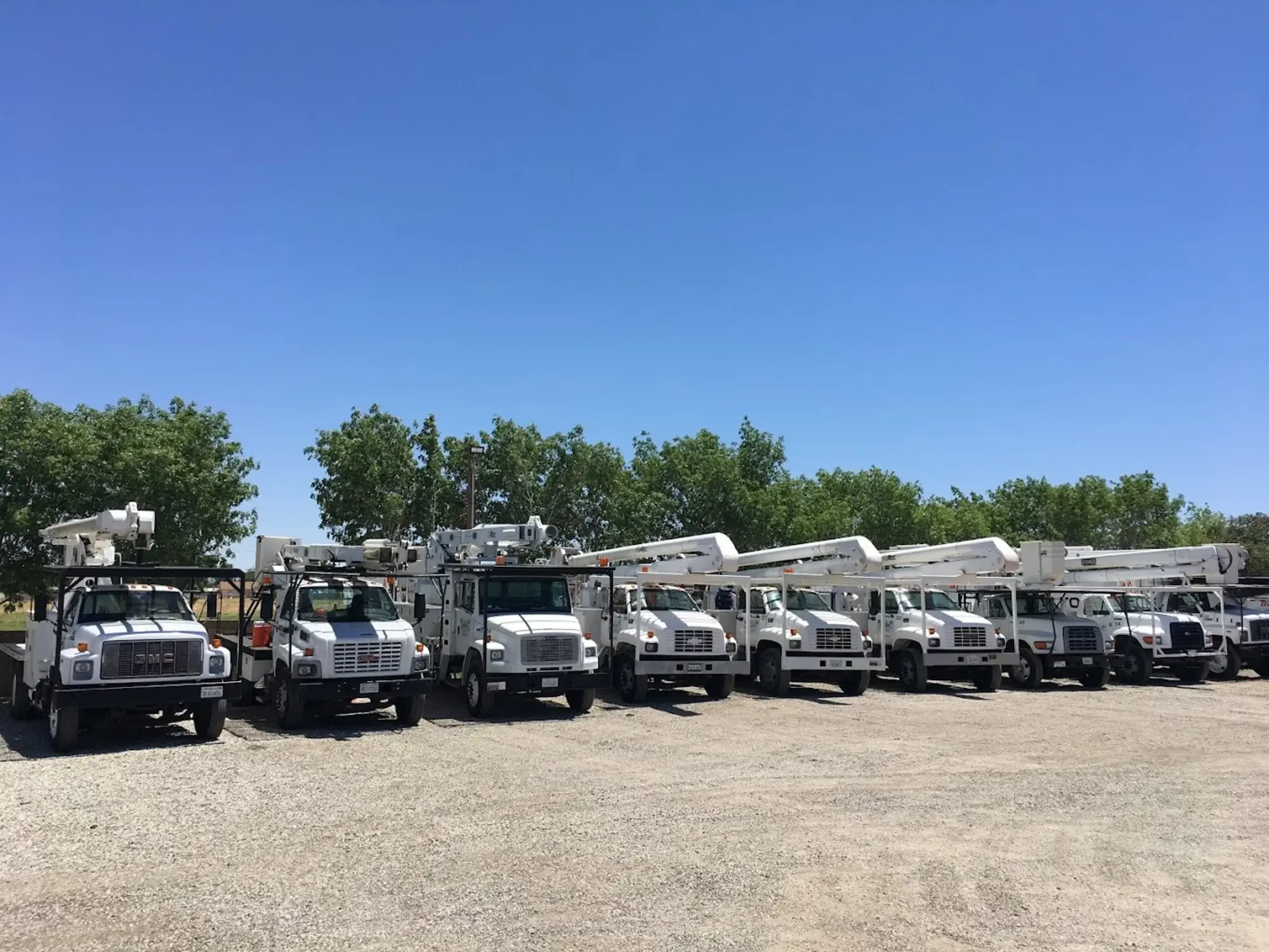tree-service-job-rosamond-ca The team before a tree service job in Rosamond, CA