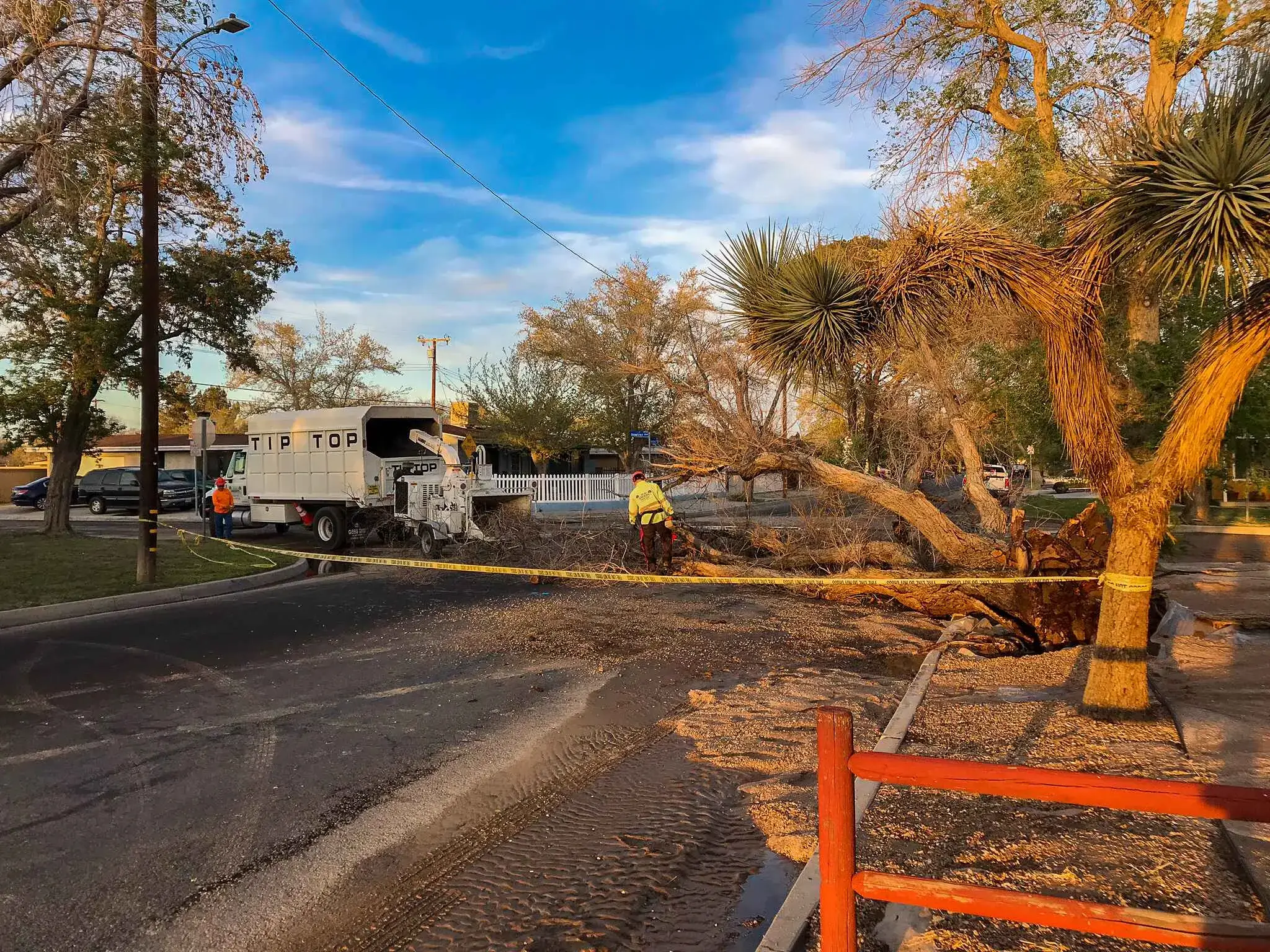 The team completing a tree service job in Valencia, CA