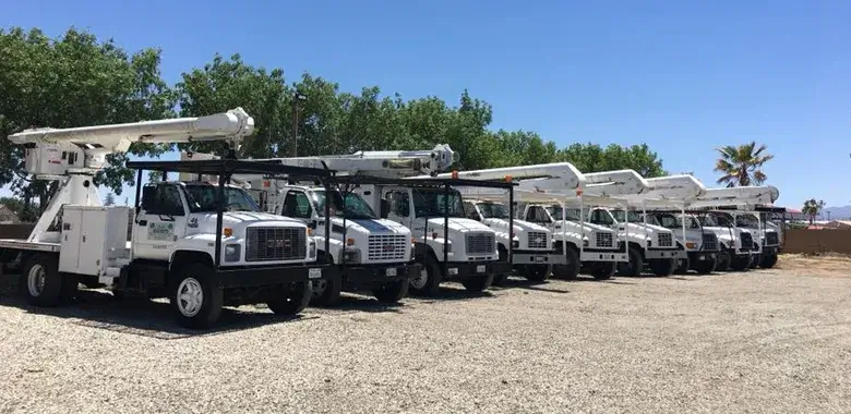 A fleet of trucks before starting a job providing tree service in Lancaster, CA