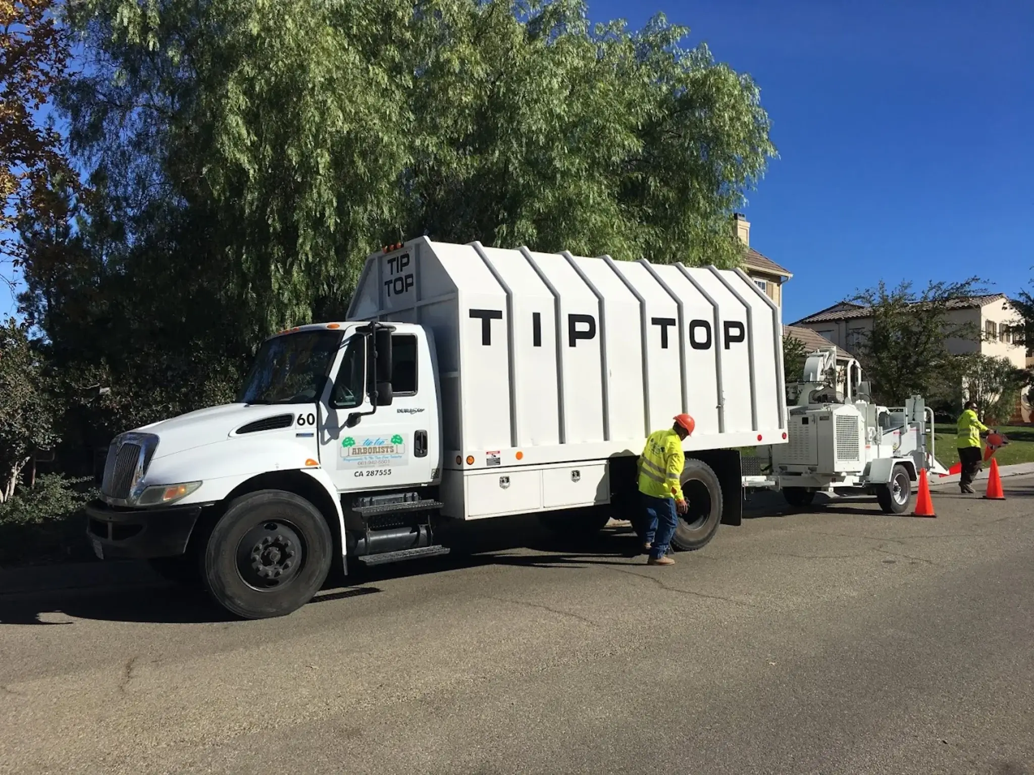 A tree trimming in Golden Hills, CA