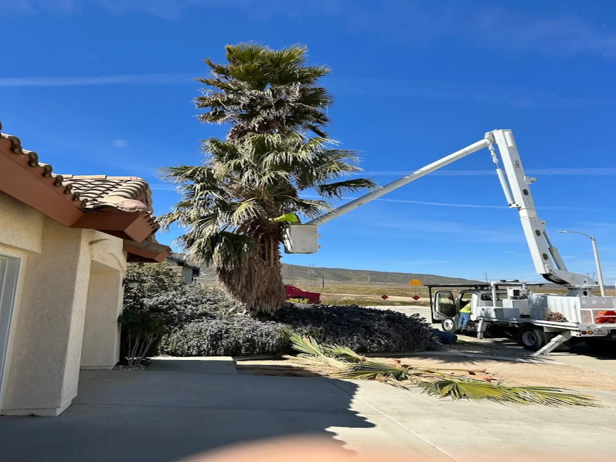 tree-trimming-palmdale-ca A tree trimming in Palmdale, CA