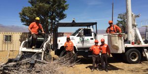 Why Hire a Certified Arborist in Valencia, CA?